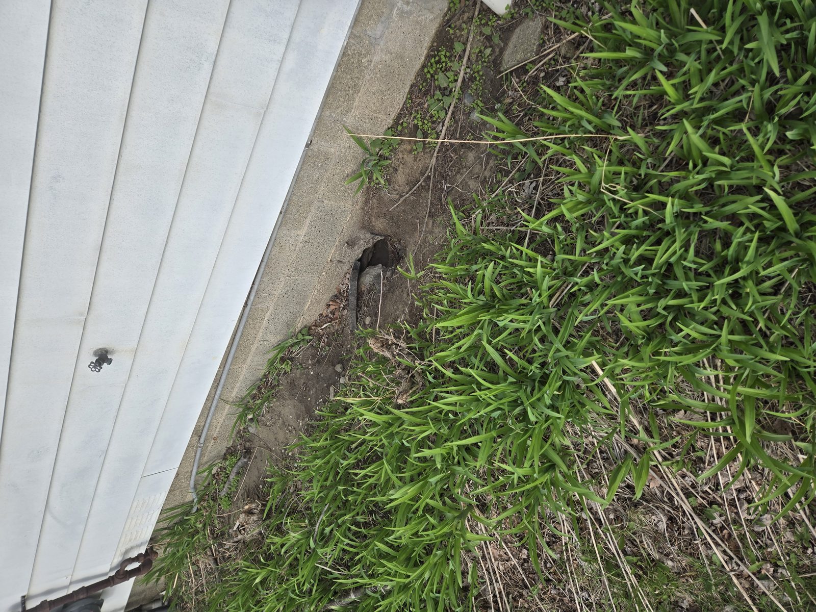 Spring cleanup at Santa Maria Lodge