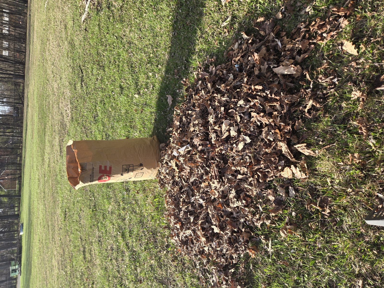 Spring cleanup at Santa Maria Lodge