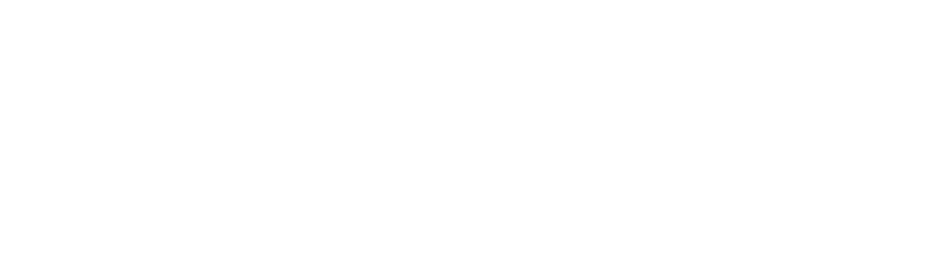 Adelina logo image from the official site